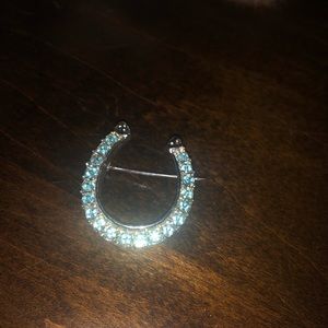 Blue Horseshoe Pin